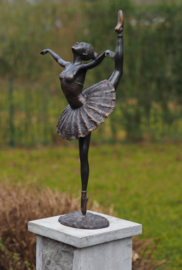 AN2219BR-B - Ballerina