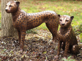 B1137 + B1138 – 2 luipaarden