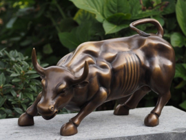 AN2205BR-B – Wall Street Stier