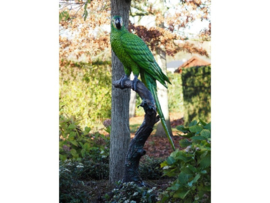 B1147Pgreen - Papegaai groen