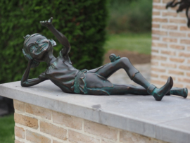 AN1336BR-V – Pixie liggend