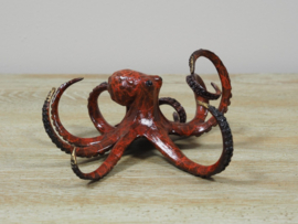 OC0588BR-HP - Octopus