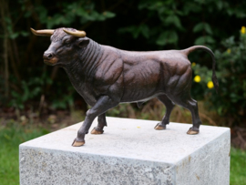 AN1307BR-B – Stier
