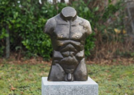 AN3553BR-BI - Torso man