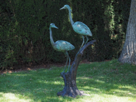 B1376 - Koppel reigers