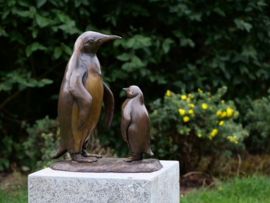 B1293- Pinguing met jong