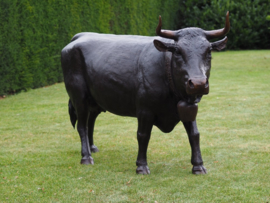 B47346 – Koe met bel