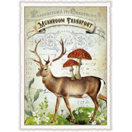 Debrina Pratt  - Mushroom Transport