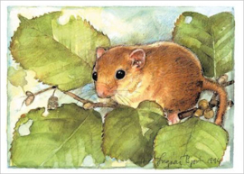 Ingvar Björk  - Muis