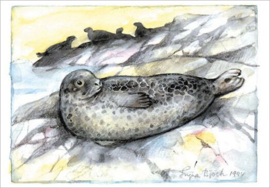 Ingvar Björk  - Zeehond