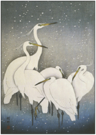 Ohara Koson  - Een groep reigers