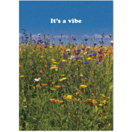 Caught a vibe  - It's a vibe