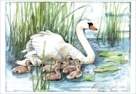 Ingvar Björk  - Zwanen