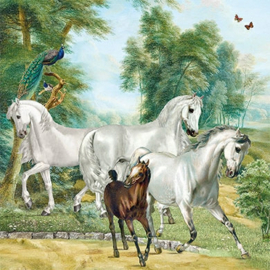 Barbara Behr  - Paarden