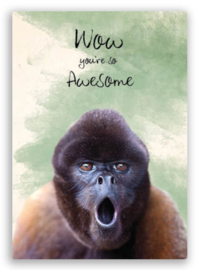 ZintenZ  - Wow you are so awesome