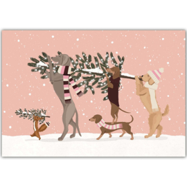 Alfie's Greetings - Xmas Preps