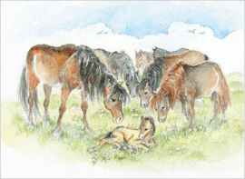 Ingvar Björk  - Paarden