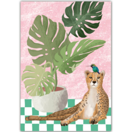 Toni Starck  - Cheetah