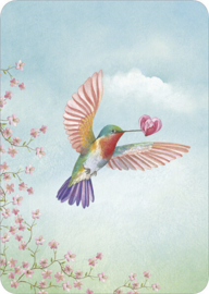 M.M  - Kolibri met hart