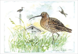 Ingvar Björk  - Wulp