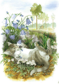 Inge Löök : Kat tussen de hyacinten - NR 114