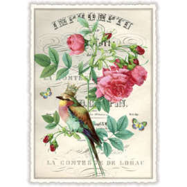 Barbara Behr - Pioenroos met vogel