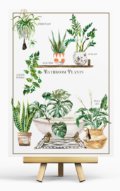 Penpaling Paula - Bathroom Plants