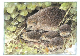 Ingvar Björk  - Egels