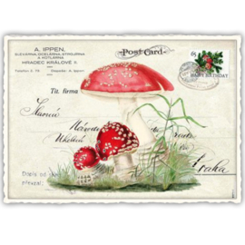 Barbara Behr - Paddenstoelen (Happy Birthday)