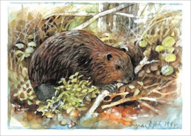 Ingvar Björk  - Bever