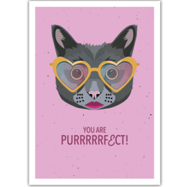 Daria Ivanovna  - You are Purrrrfect!