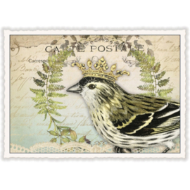 Debrina Pratt  - Vogel met kroon