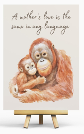 Penpaling Paula  - Moederliefde