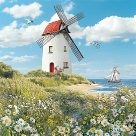 Barbara Behr  - Molen