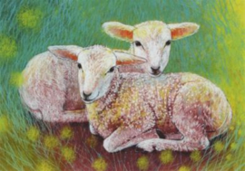 Loes Botman - Lammetjes