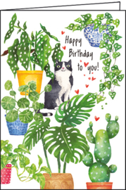 Carola Pabst  - Happy Birthday to you!