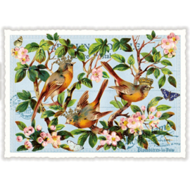 Edition Tausendschön  - Vogeltjes