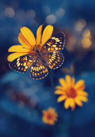 Delbars  - Vlinder op bloem
