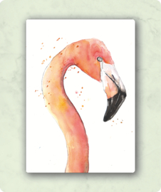 Veer Illustratie  - Flamingo