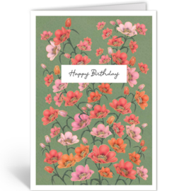 Quire  - Happy Birthday