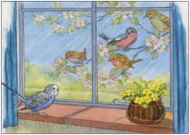 Molly Brett  - Vogels