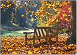 Artens  - Bankje in de herfst