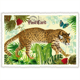 Adriana Sanmartin  - Jaguar