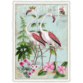 Barbara Behr  - Flamingo's