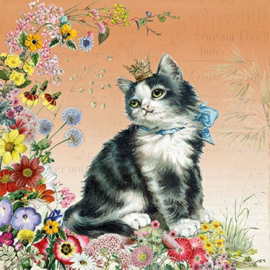 Barbara Behr  - Kat