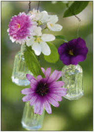 Image Pro  - Bloemen in glazen vaasjes