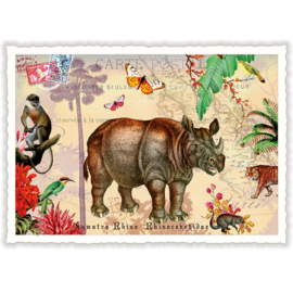 Adriana Sanmartin  - Sumatra Rhino
