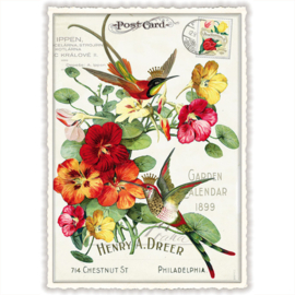 Barbara Behr  - Birds and Flowers