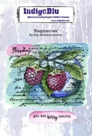 Rubber Stempel  - IndigoBlu Raspberries A6