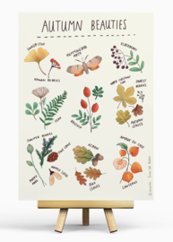 Penpaling Paula  - Autumn Beauties
